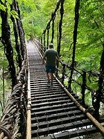 IMG_0520
