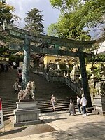 IMG_0542