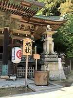 IMG_0548