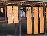 IMG_0553