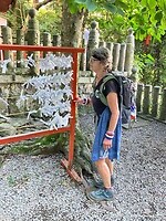 IMG_0562