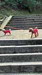 IMG_0571