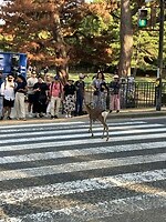 IMG_0692
