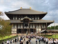 IMG_0703