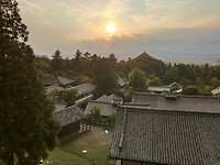 IMG_0720