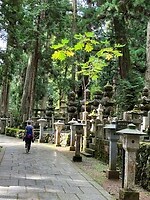IMG_0912