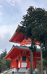 IMG_0976