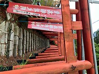 IMG_0984
