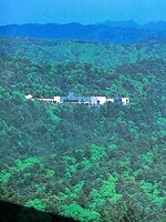 IMG_1009