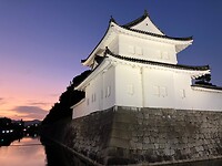 IMG_1054