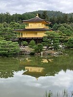 IMG_1085