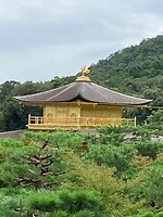 IMG_1098