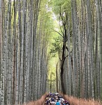 IMG_1125