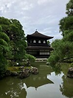 IMG_1181
