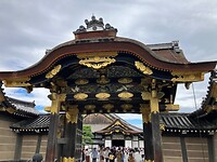 IMG_1303