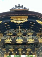 IMG_1263