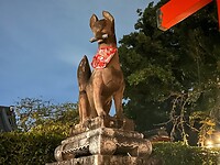 IMG_1809