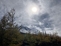 IMG_1484