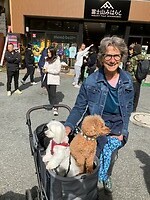 IMG_1506