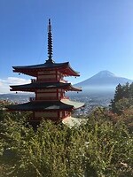 IMG_1534