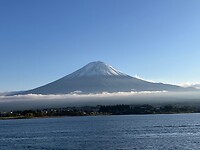 IMG_1550