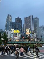 IMG_1607