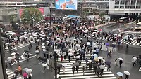 IMG_1678
