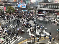 IMG_1675