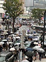 IMG_1686
