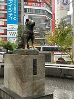 IMG_1692