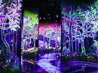 IMG_1904