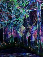 IMG_1940