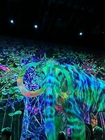 IMG_1949