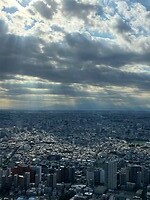 IMG_2133