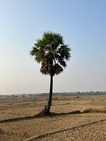 IMG_4713