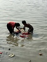 IMG_4875