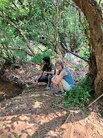 IMG_5200
