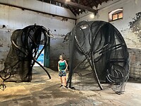 IMG_5489