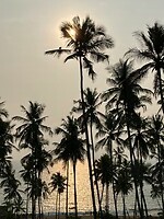 IMG_5808