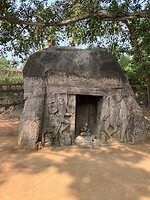 IMG_5861