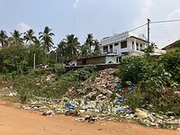 IMG_5890