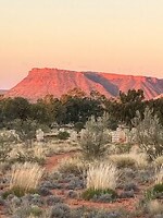 IMG_6784