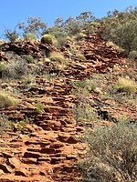 IMG_6844
