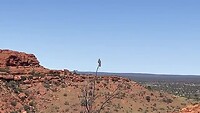 IMG_6821