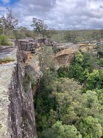 IMG_7411