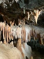 IMG_7658