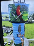 IMG_7760