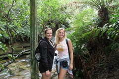 Blue mountains