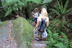 Blue mountains