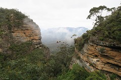 Blue mountains